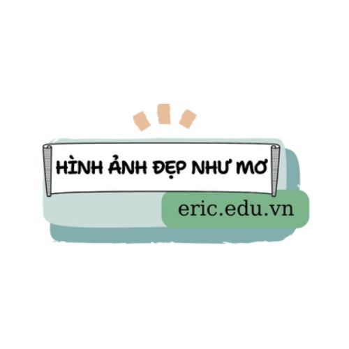 ericeduvn1